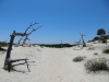 Crossing dunes to get to beach
