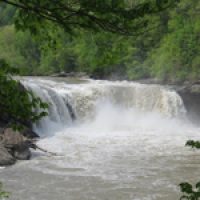 falls feature
