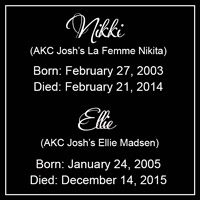 nikki-ellie-dates-feature